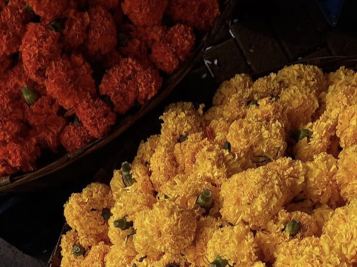 Marigold flower for Ratha Yatra